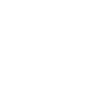 Black Business Institute